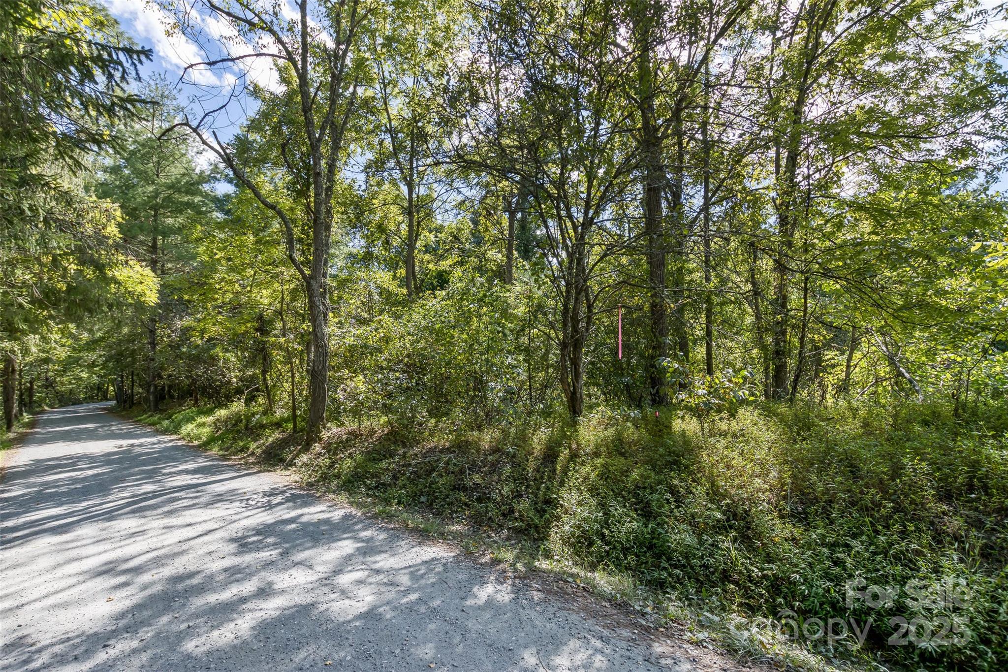 99999 Rocky Hollow Weaverville NC 28787