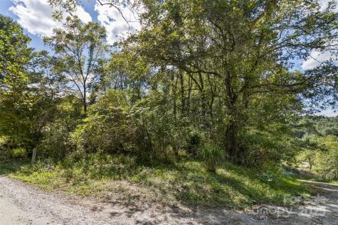 99999 Rocky Hollow Weaverville NC 28787