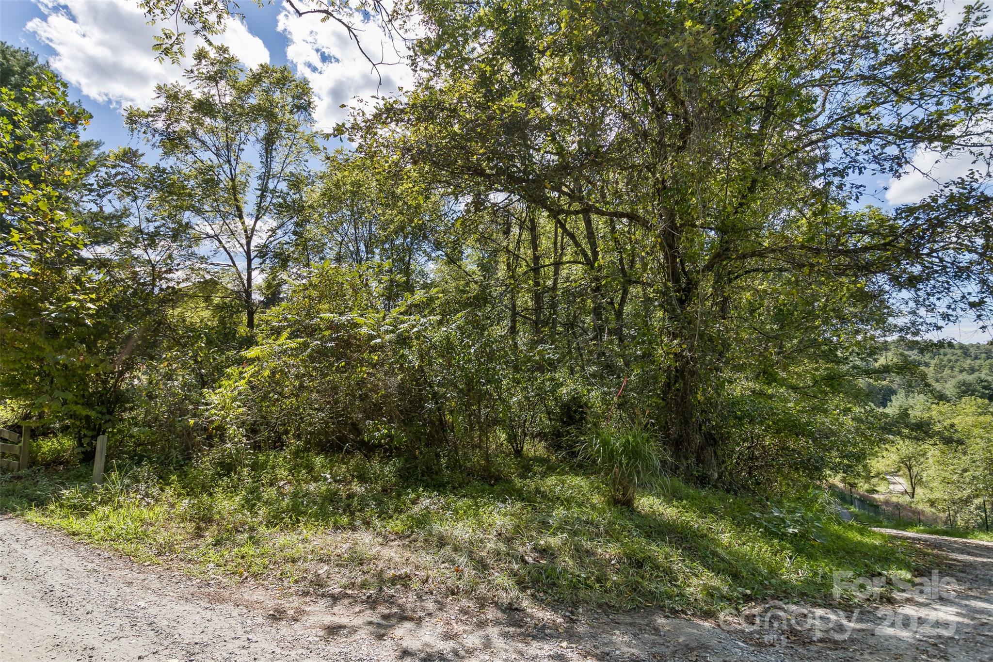 99999 Rocky Hollow Weaverville NC 28787