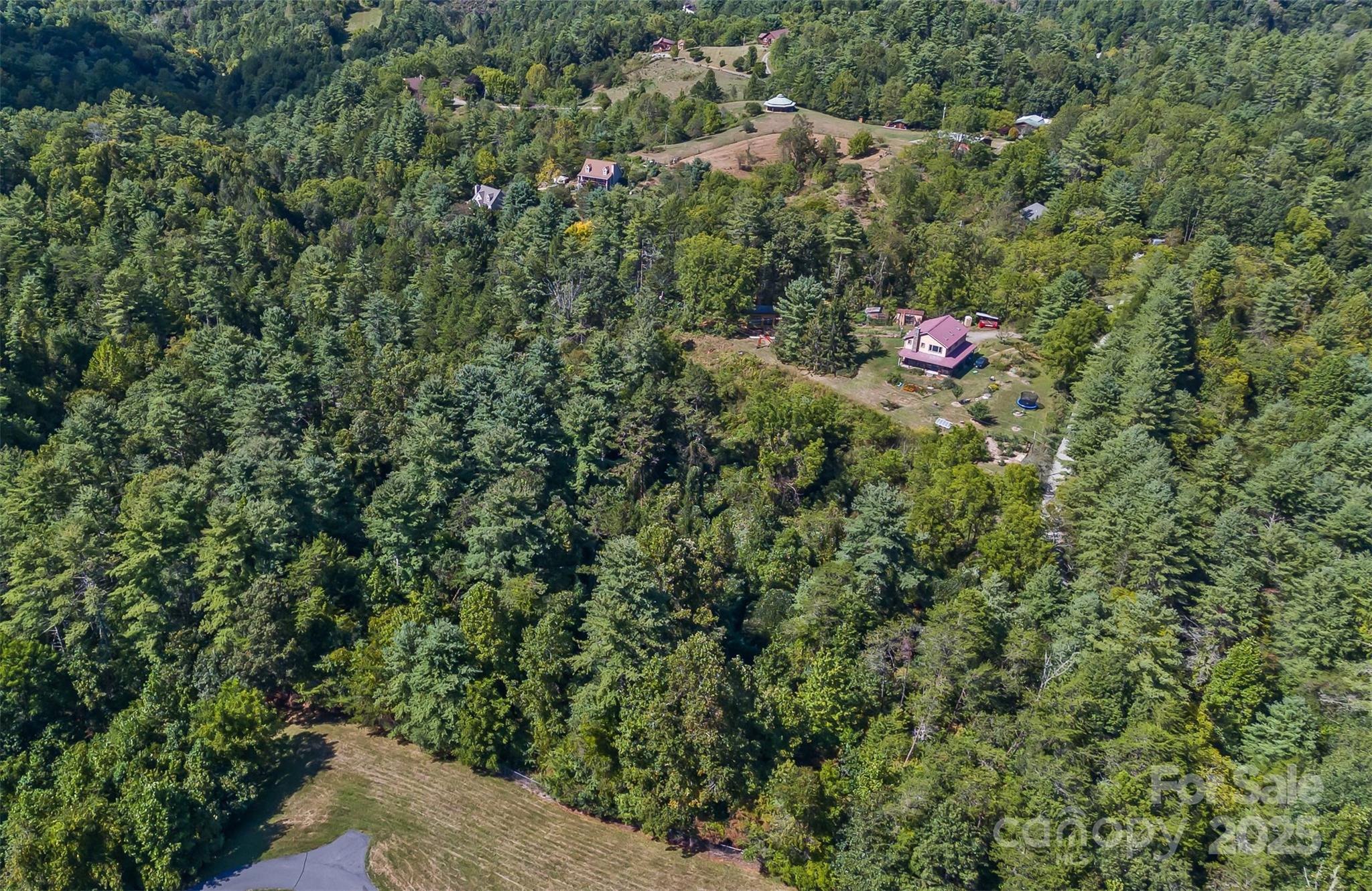 99999 Rocky Hollow Weaverville NC 28787