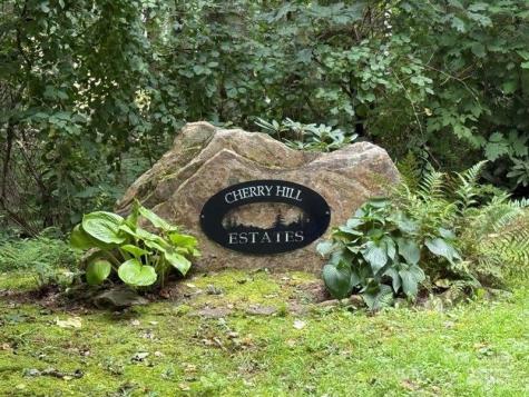 Lot 69 Teaberry Ridge Road Waynesville NC 28785