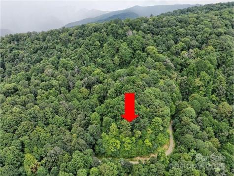 Lot 69 Teaberry Ridge Road Waynesville NC 28785