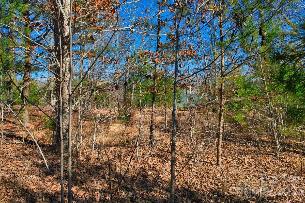 0 Whitestone Circle Union Mills NC 28167