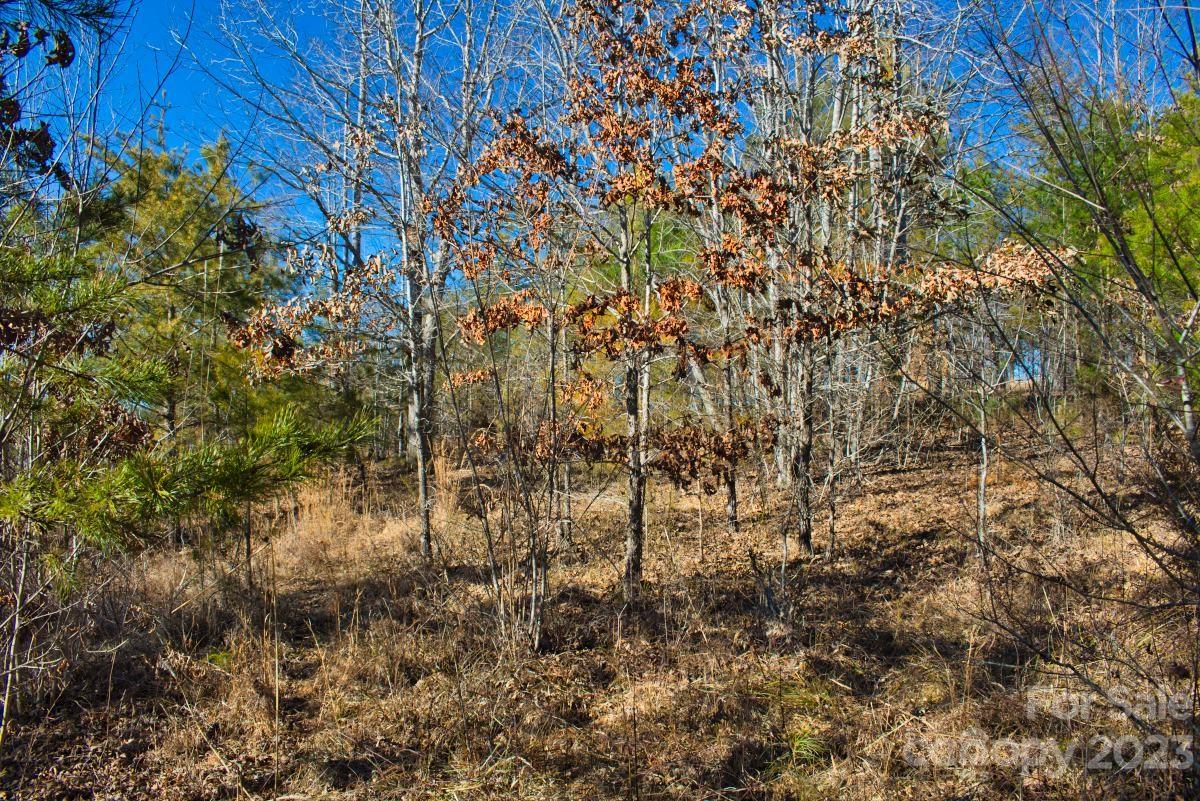 0 Whitestone Circle Union Mills NC 28167