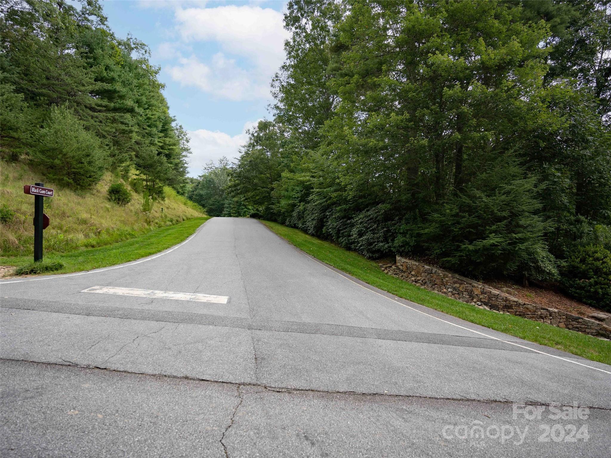 700 Blackgum Court Hendersonville NC 28739