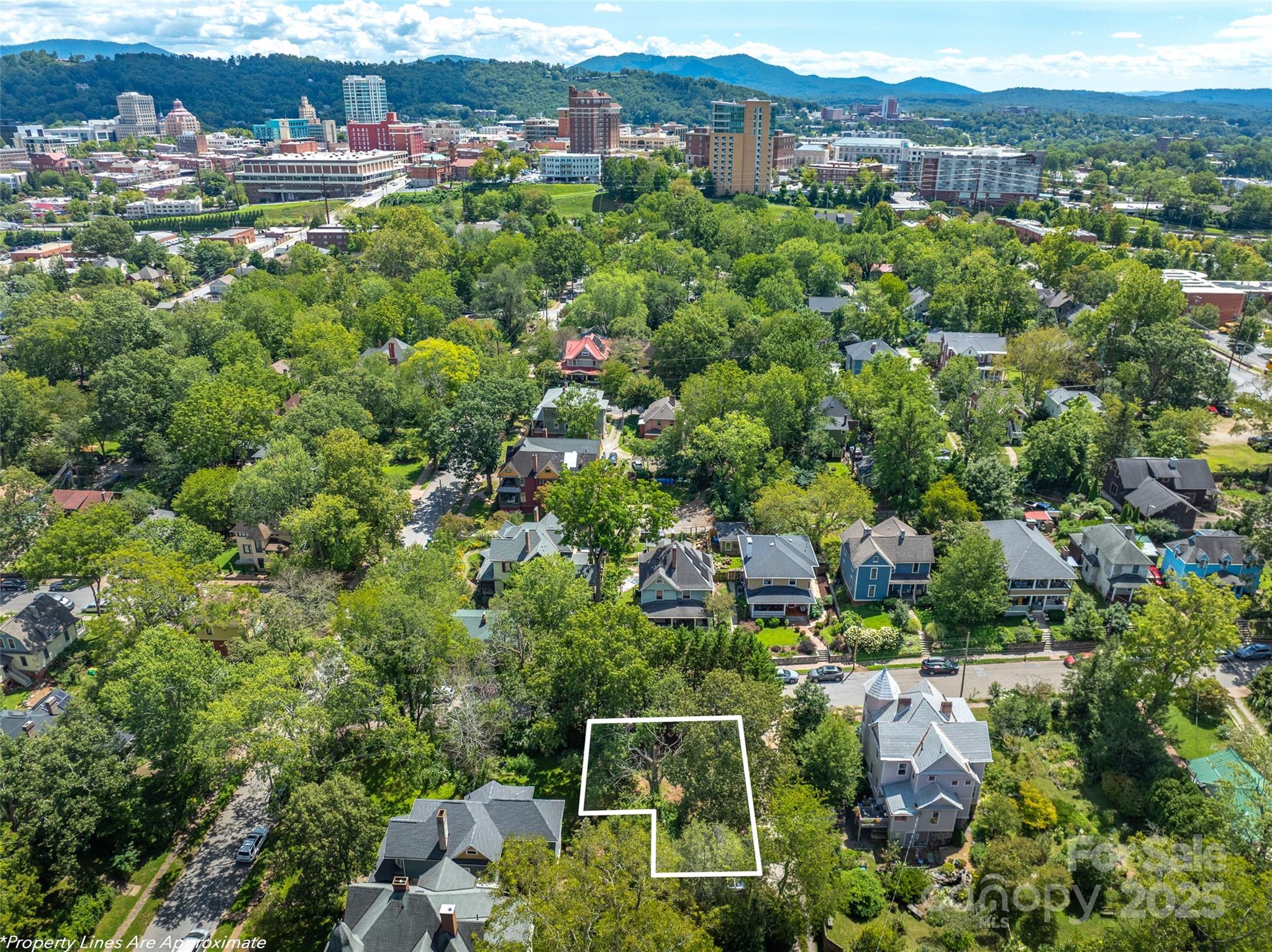 Asheville NC, 99999 Blake Street