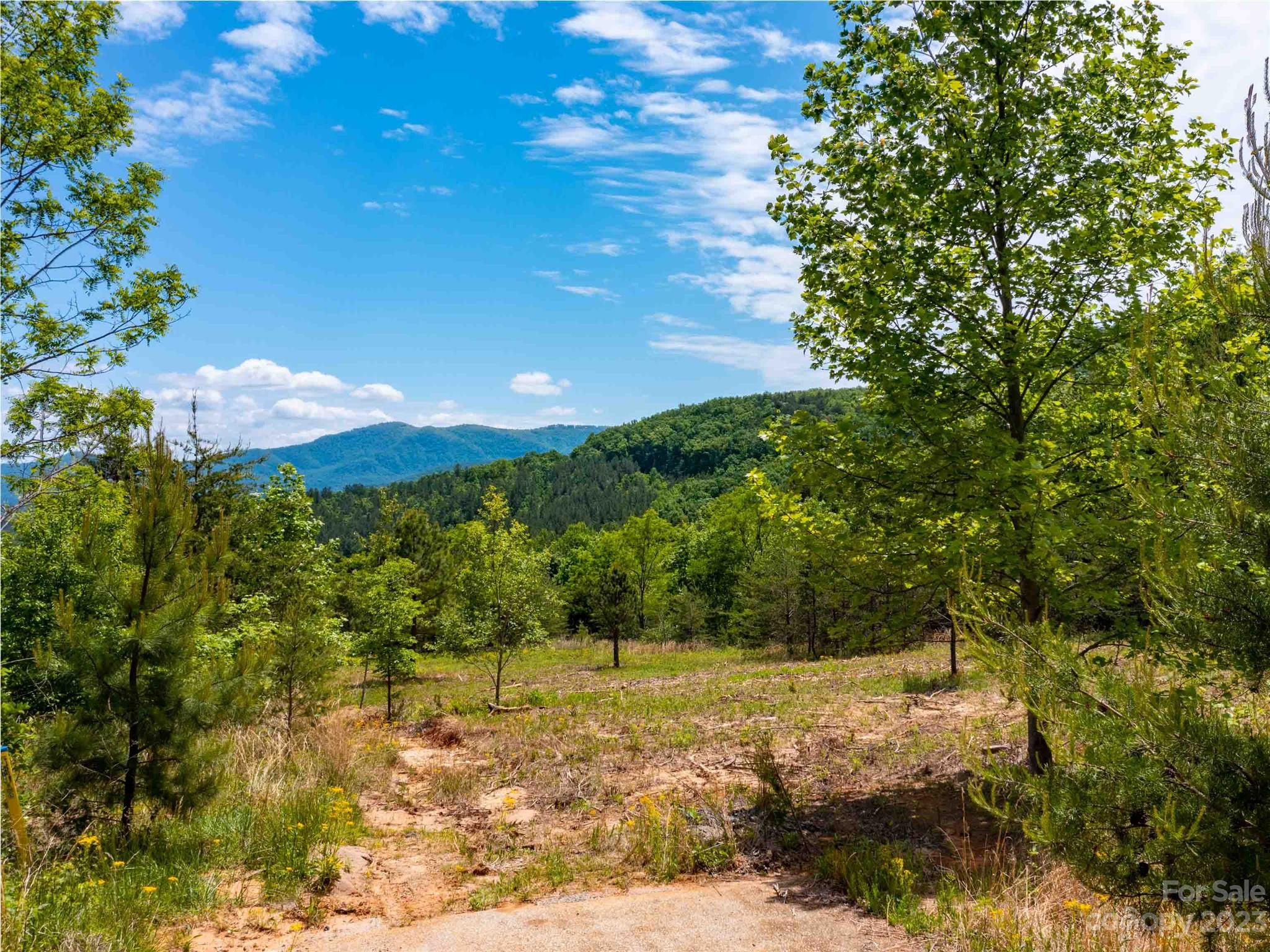 Lot 185 Harris Court Mill Spring NC 28756