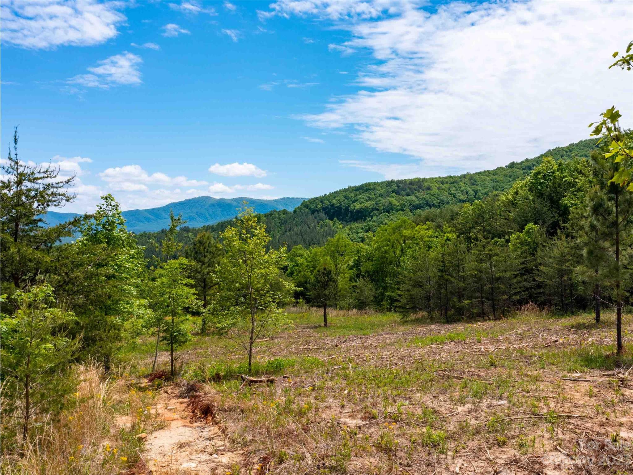 Lot 185 Harris Court Mill Spring NC 28756