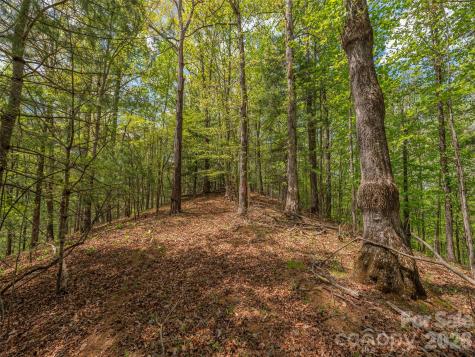 000 Caney Fork Road Cullowhee NC 28723