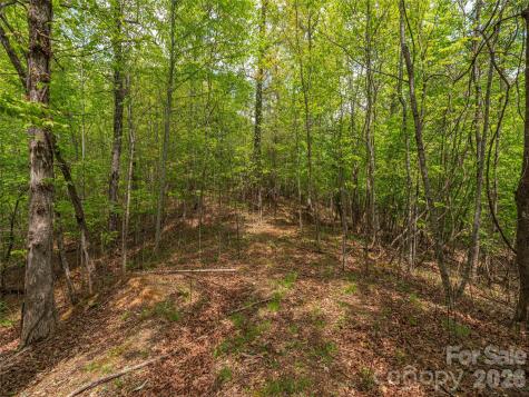 000 Caney Fork Road Cullowhee NC 28723