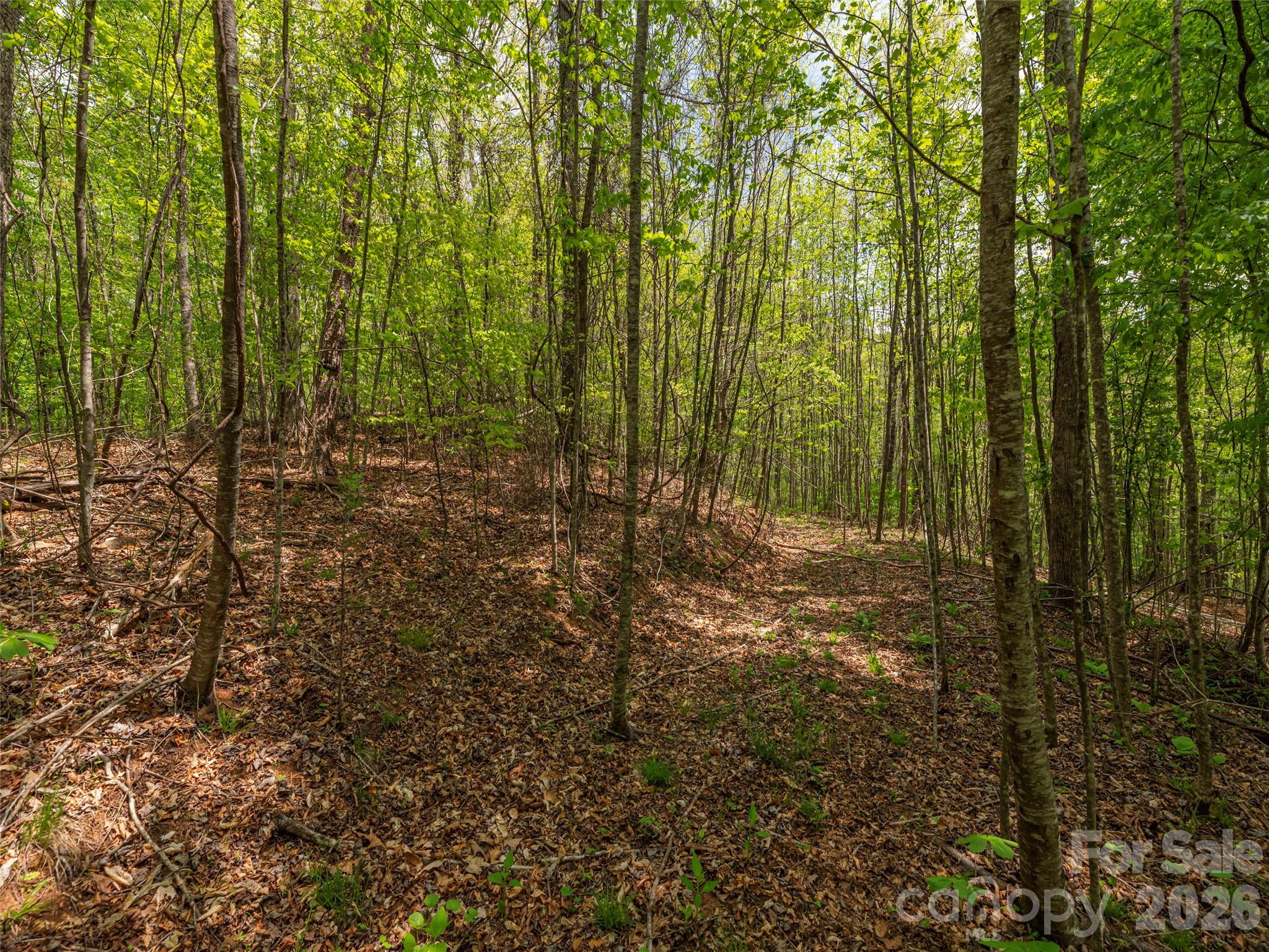 000 Caney Fork Road Cullowhee NC 28723