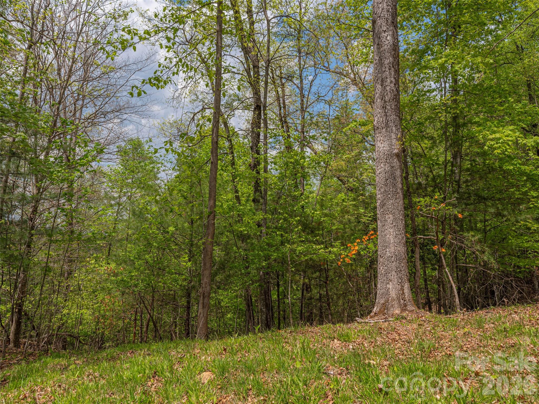 000 Caney Fork Road Cullowhee NC 28723