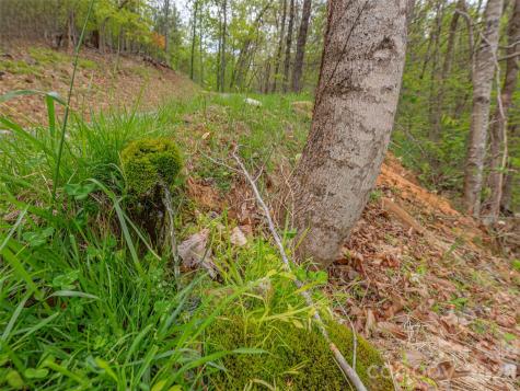 000 Caney Fork Road Cullowhee NC 28723