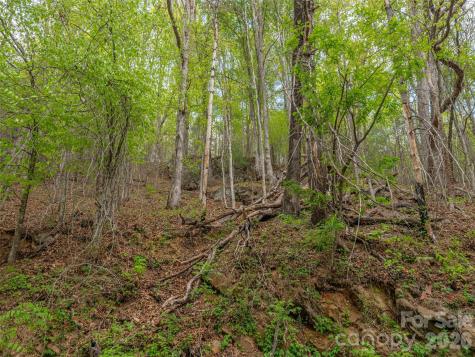 000 Caney Fork Road Cullowhee NC 28723