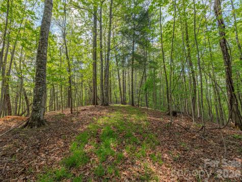 000 Caney Fork Road Cullowhee NC 28723