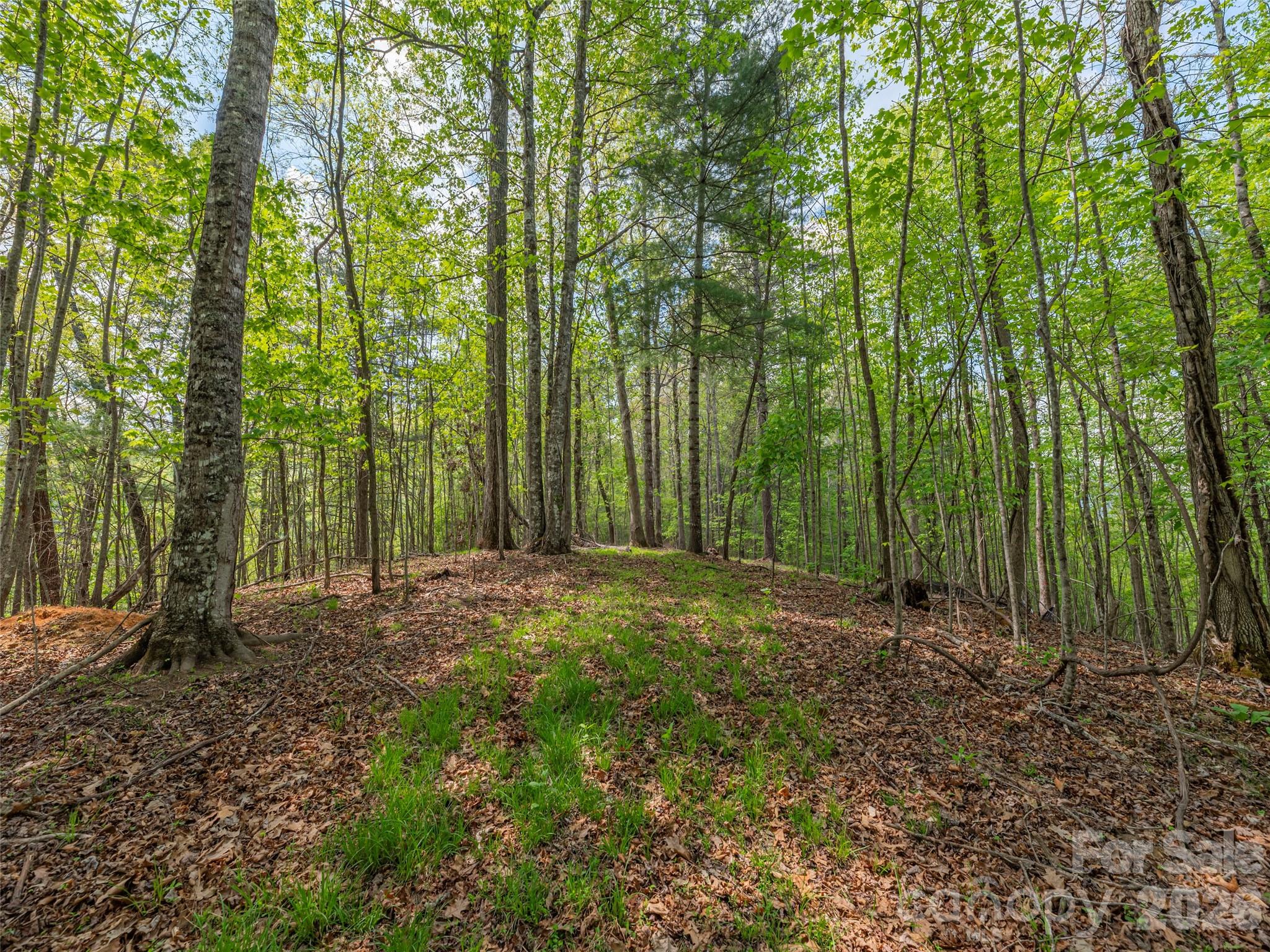 000 Caney Fork Road Cullowhee NC 28723