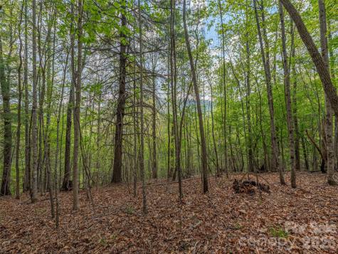 000 Caney Fork Road Cullowhee NC 28723