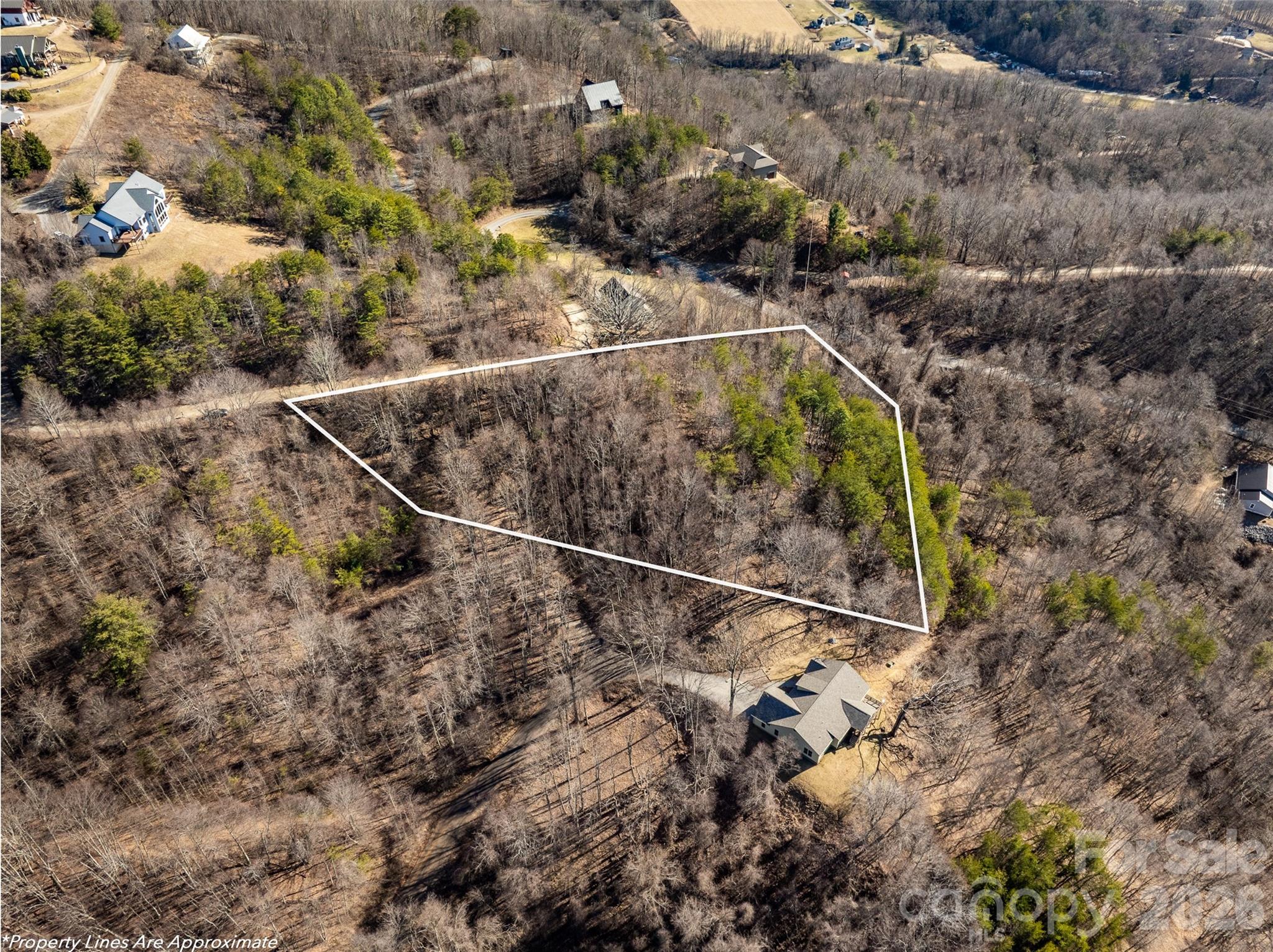 9999 Hunters Ridge Drive Canton NC 28716
