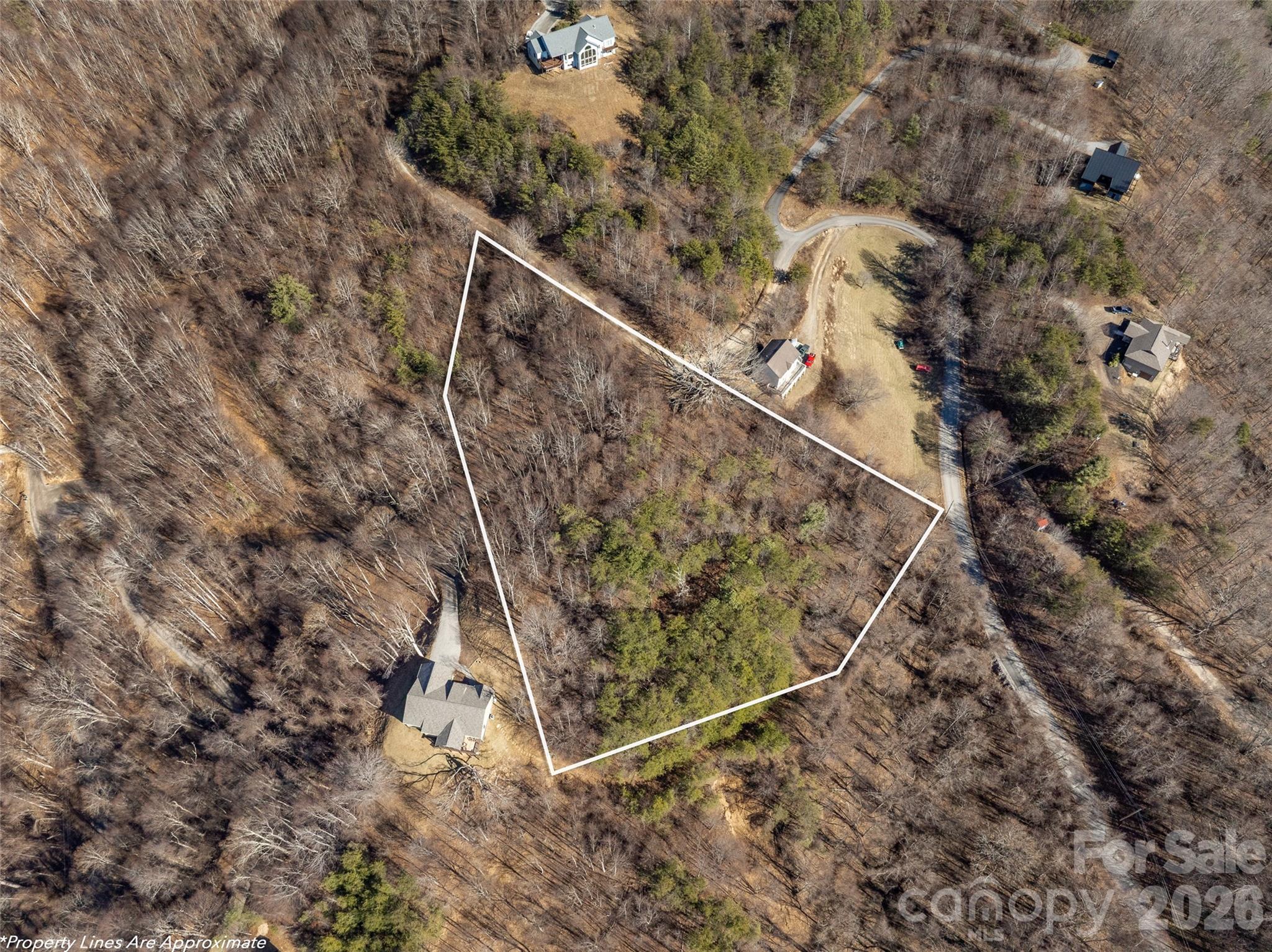 9999 Hunters Ridge Drive Canton NC 28716