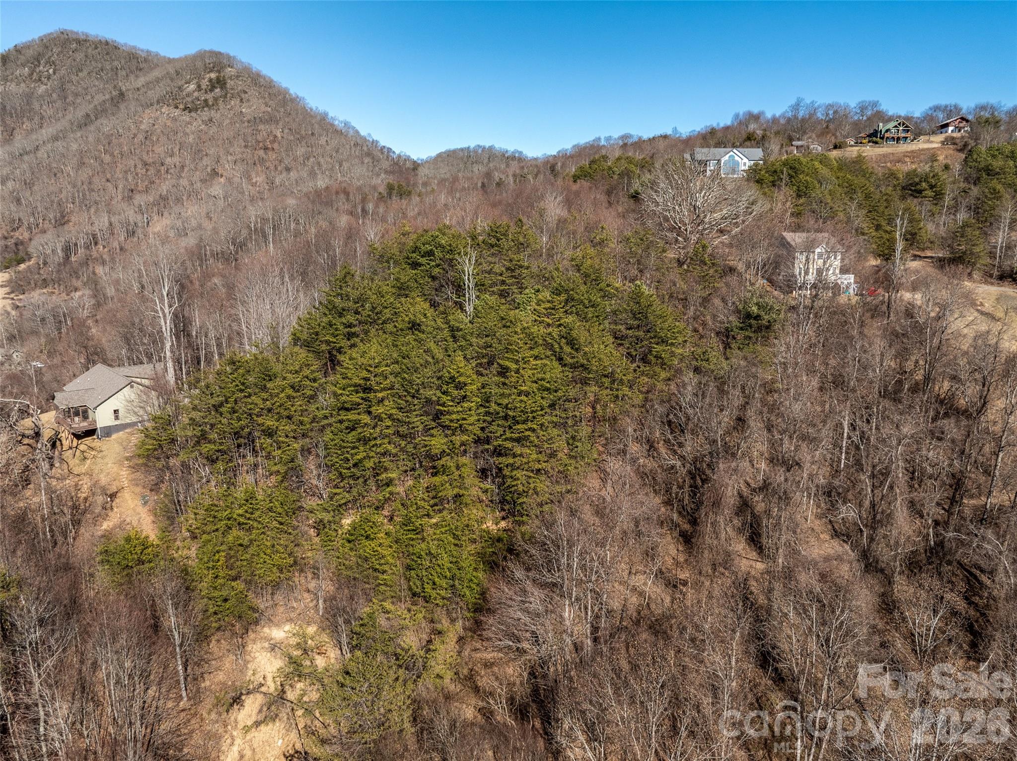 9999 Hunters Ridge Drive Canton NC 28716