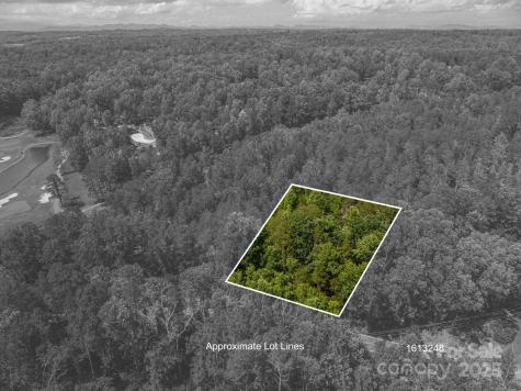 Lot 7 Cleghorn Mill Road Rutherfordton NC 28139