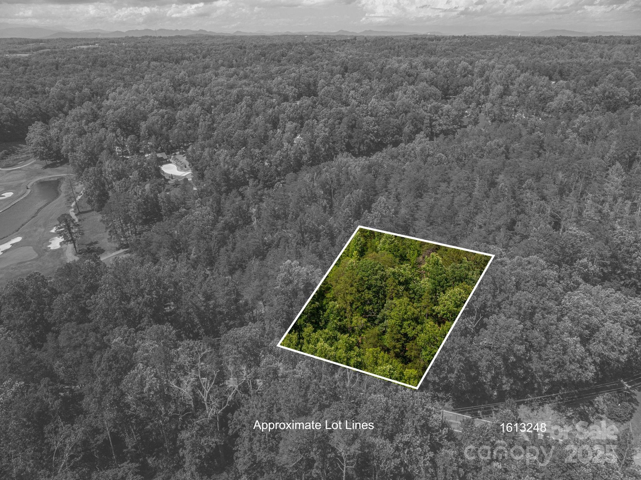 Lot 7 Cleghorn Mill Road Rutherfordton NC 28139