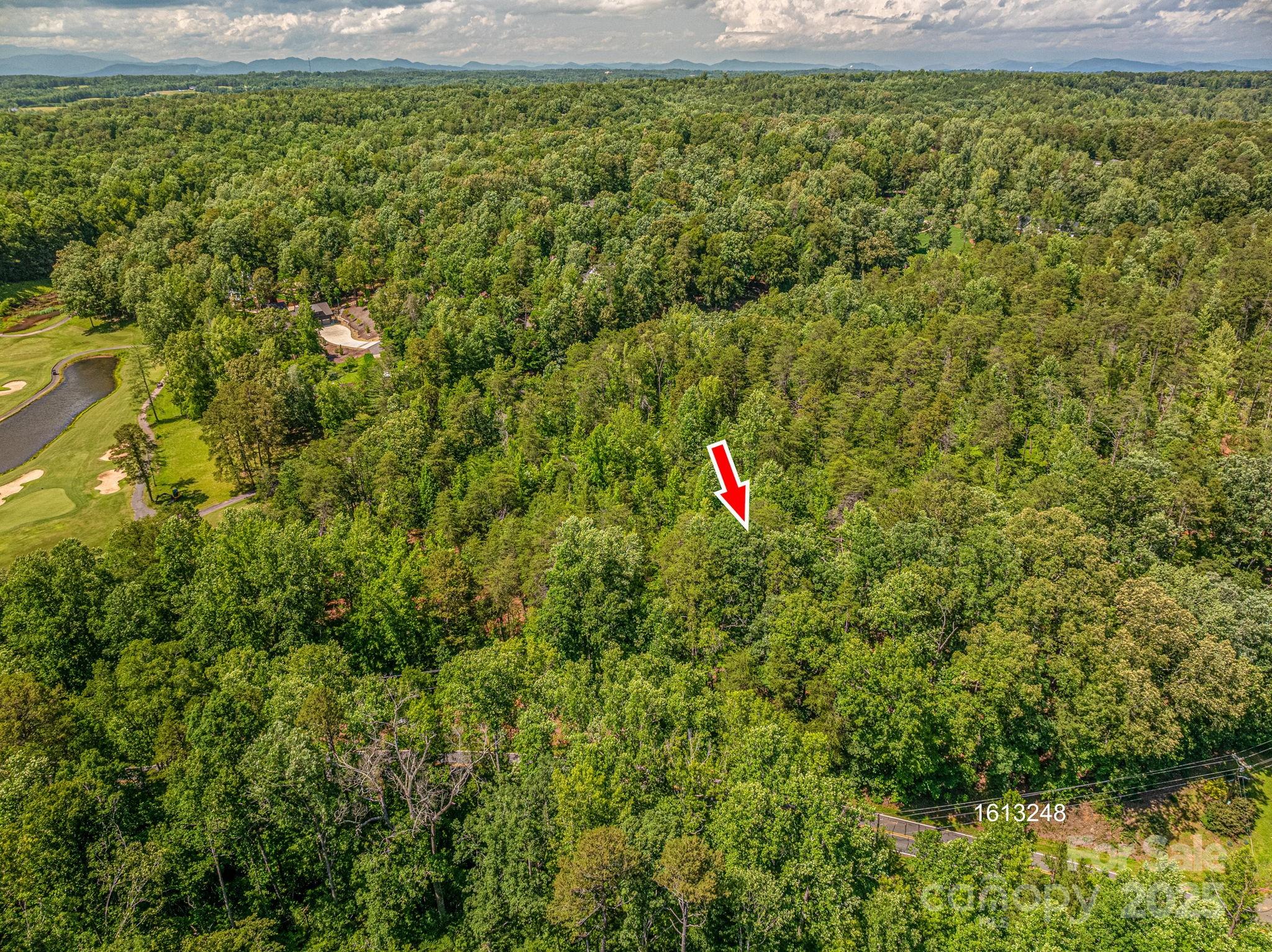 Lot 7 Cleghorn Mill Road Rutherfordton NC 28139
