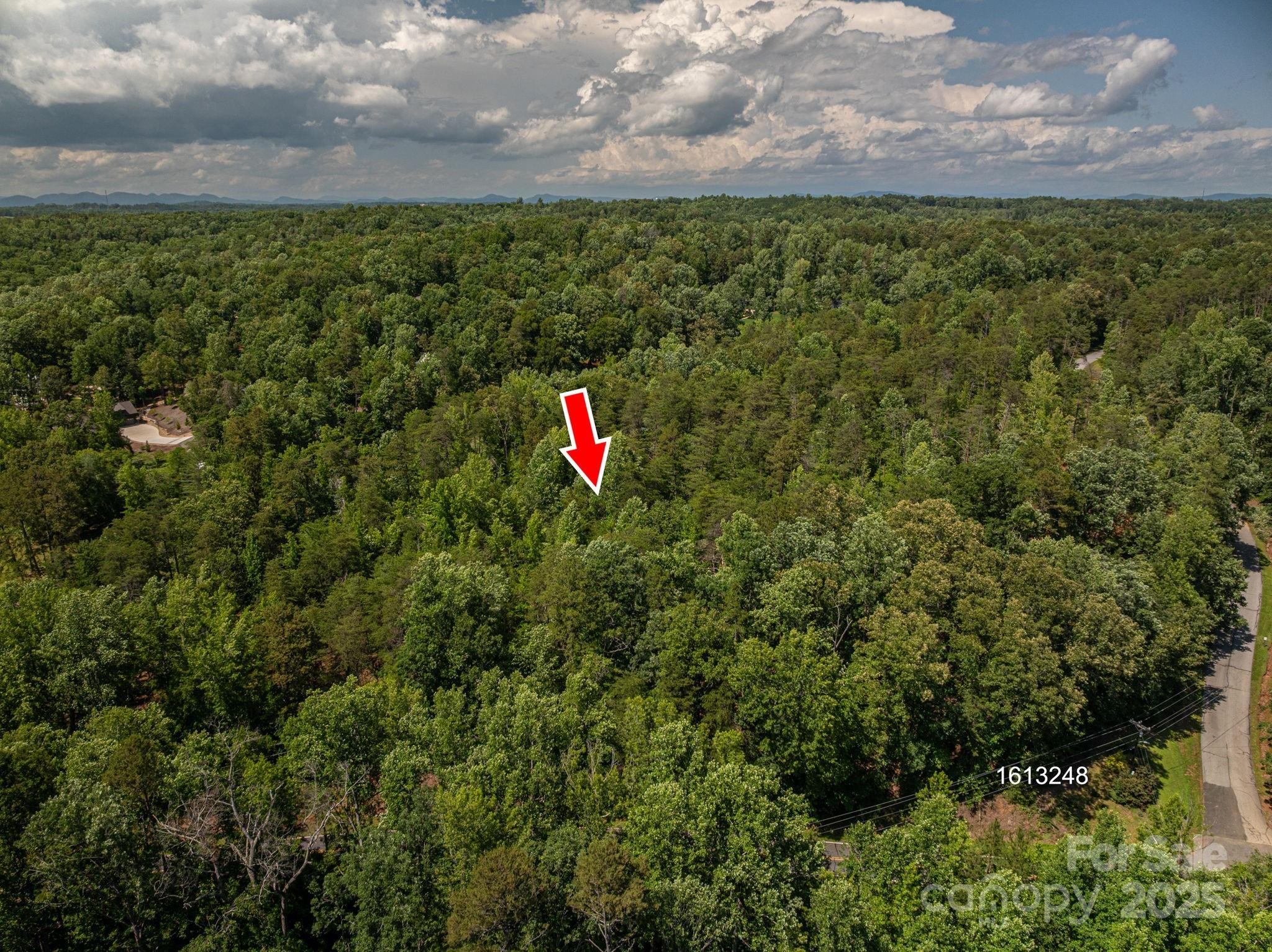 Lot 7 Cleghorn Mill Road Rutherfordton NC 28139