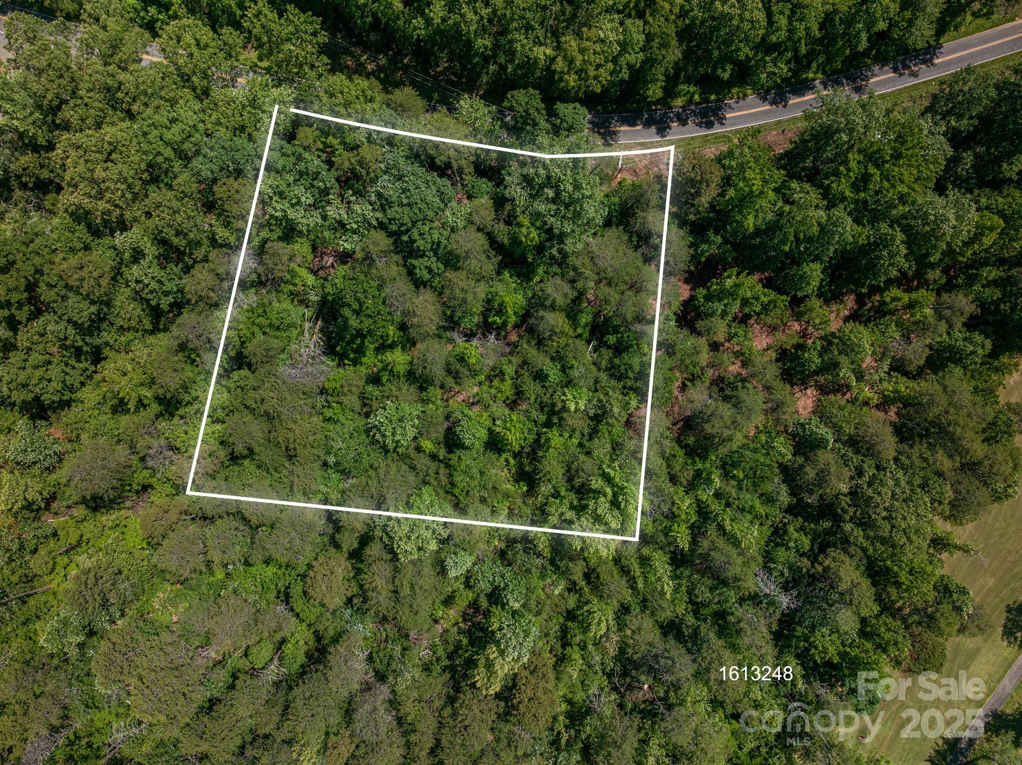 Lot 7 Cleghorn Mill Road Rutherfordton NC 28139