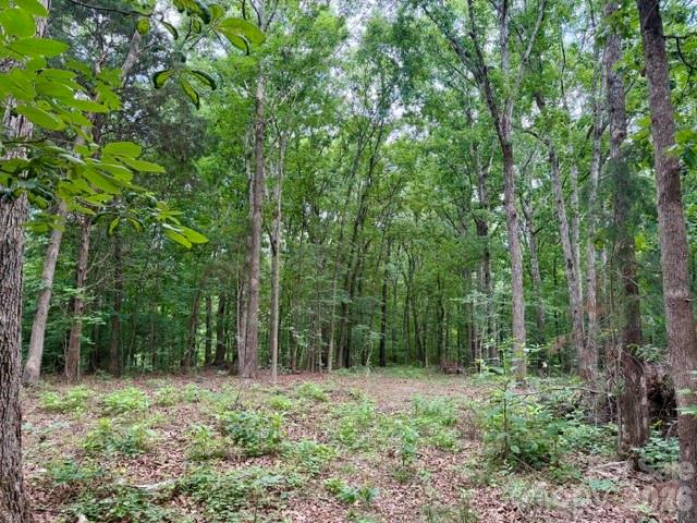 800 Pilgrim Forest Drive Monroe NC 28110