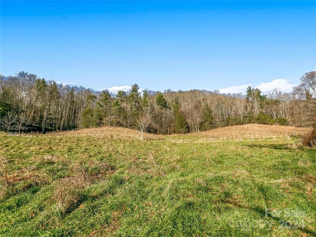 190 Blackberry Inn Road Weaverville NC 28787