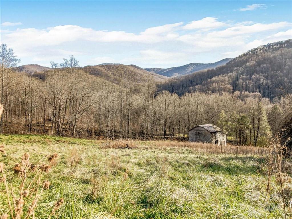 190 Blackberry Inn Road Weaverville NC 28787