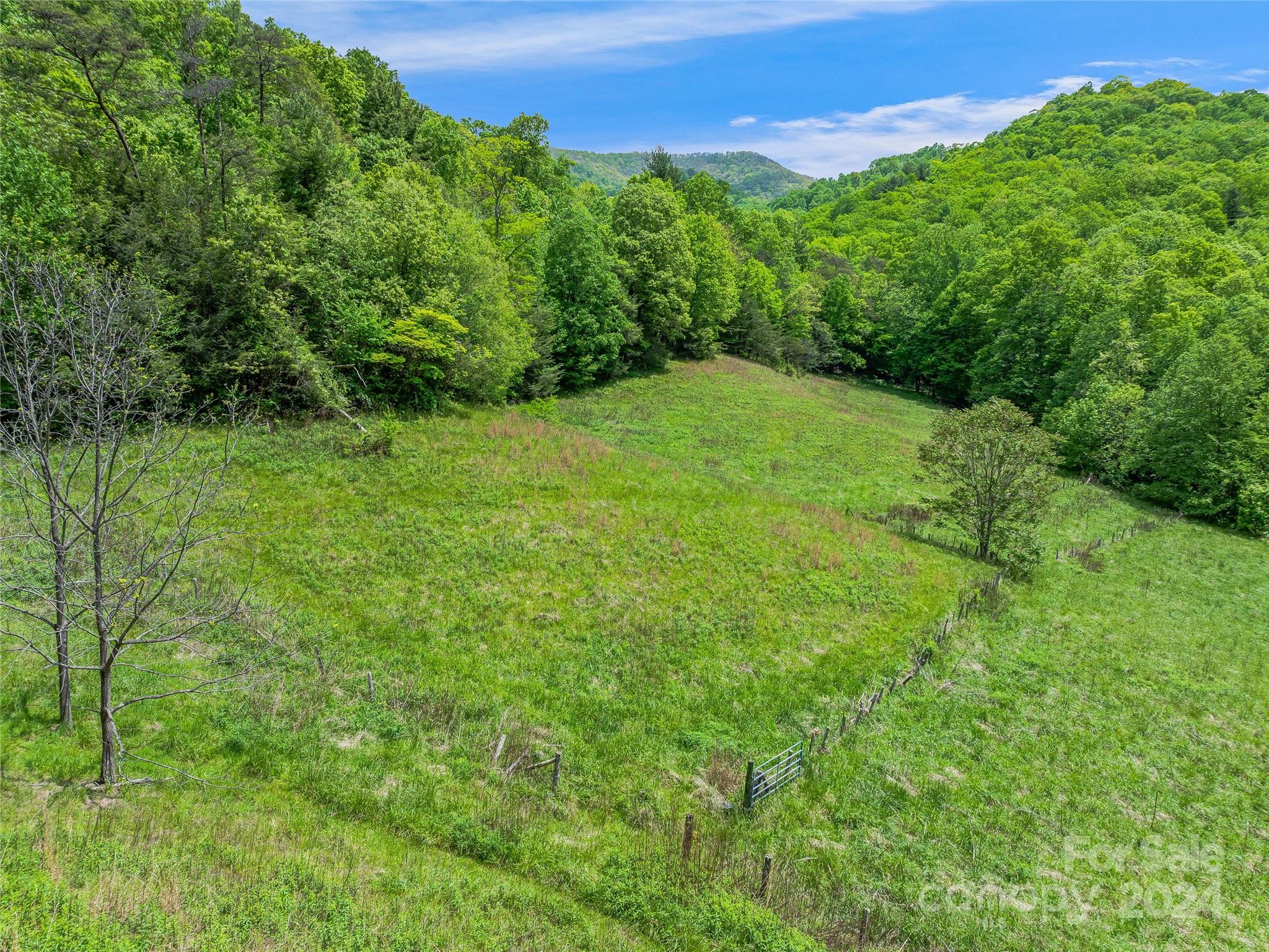 190 Blackberry Inn Road Weaverville NC 28787