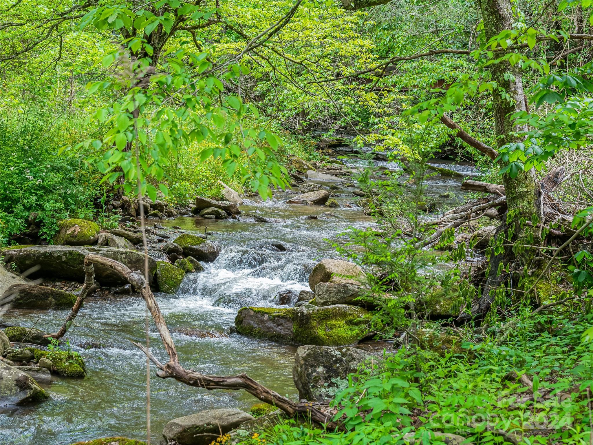 190 Blackberry Inn Road Weaverville NC 28787
