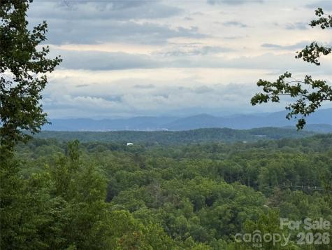 16 Ridge Pine Trail Arden NC 28704
