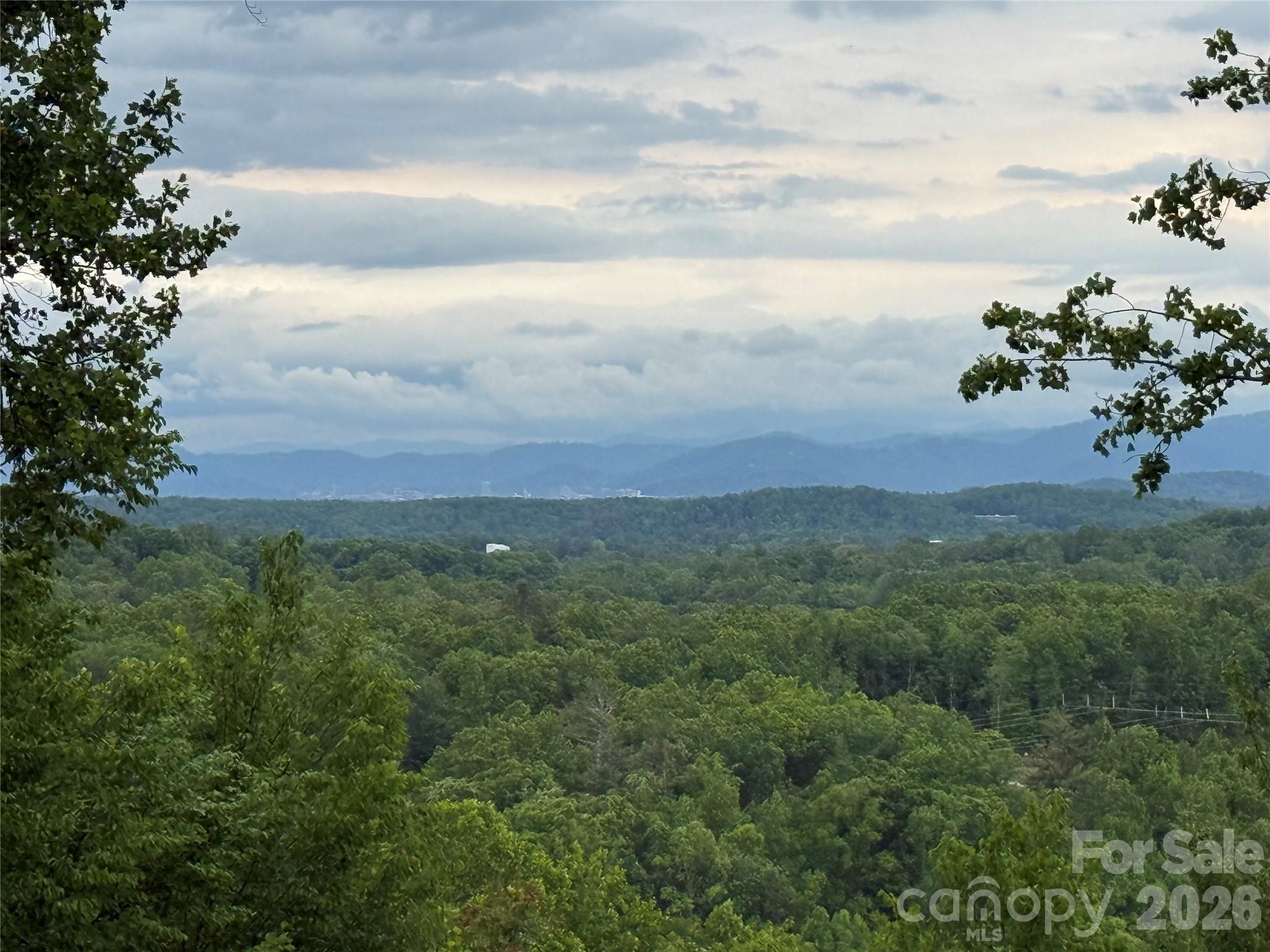 16 Ridge Pine Trail Arden NC 28704