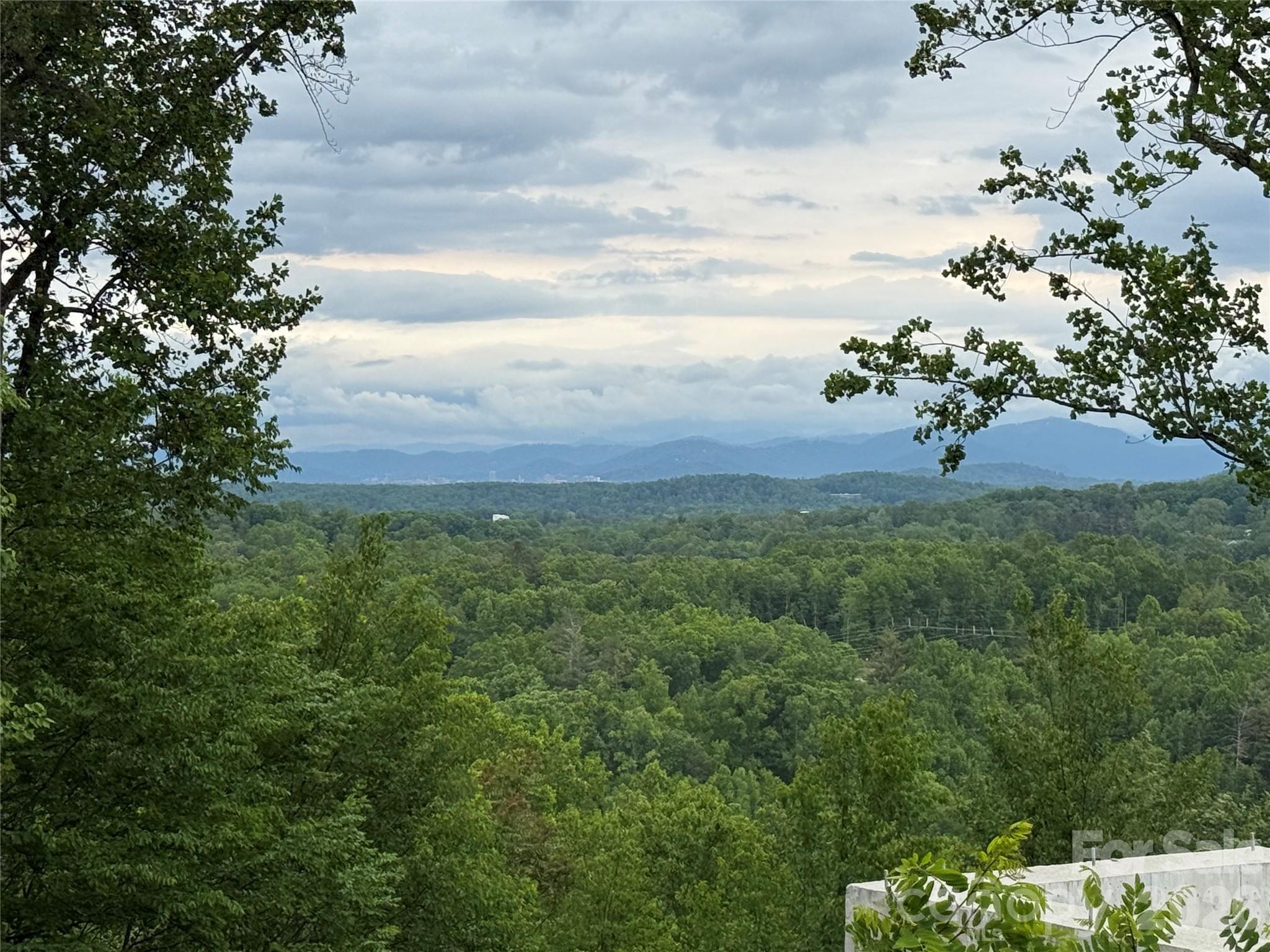 16 Ridge Pine Trail Arden NC 28704