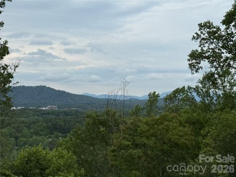 16 Ridge Pine Trail Arden NC 28704