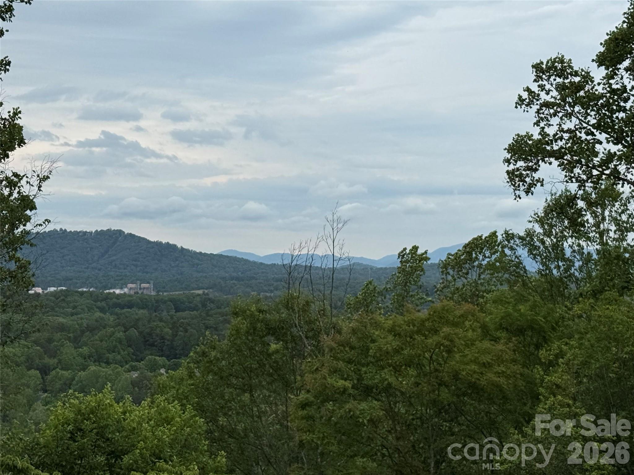 16 Ridge Pine Trail Arden NC 28704