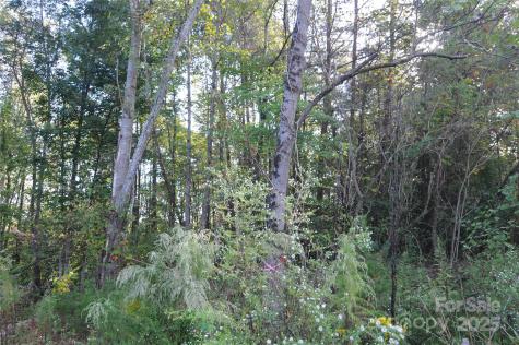 2320 Dobbins Court Vale NC 28168