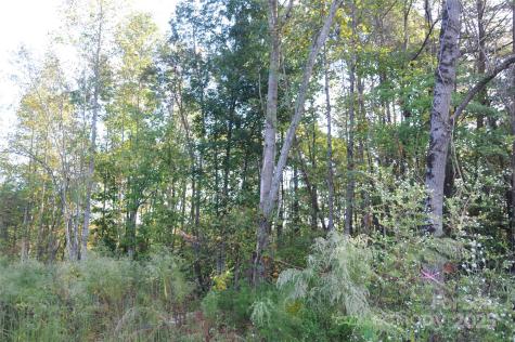2320 Dobbins Court Vale NC 28168