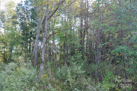 2320 Dobbins Court Vale NC 28168