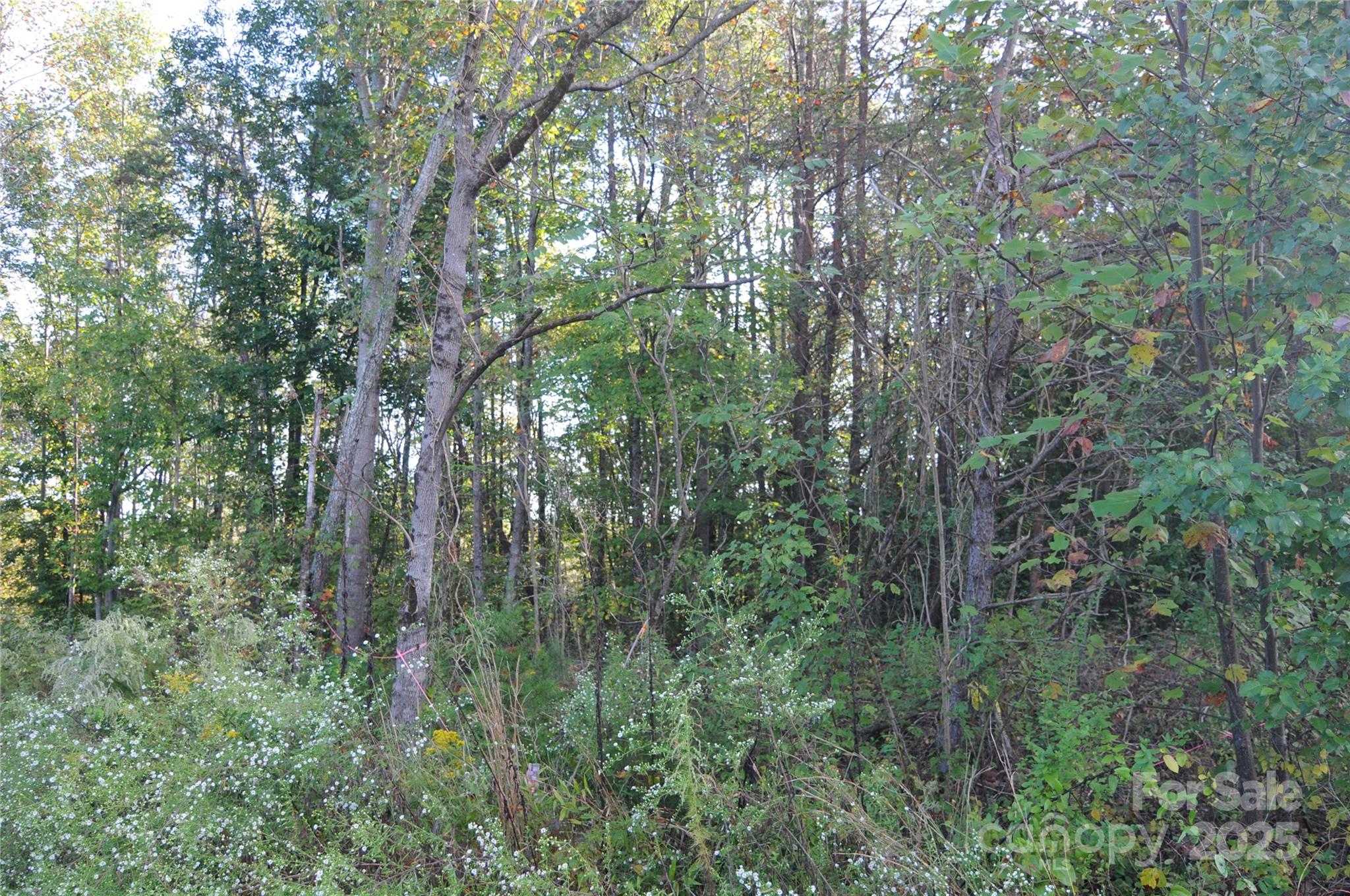 2320 Dobbins Court Vale NC 28168