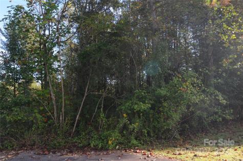2320 Dobbins Court Vale NC 28168