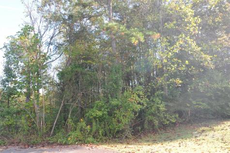 2320 Dobbins Court Vale NC 28168