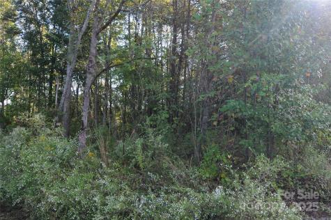 2320 Dobbins Court Vale NC 28168
