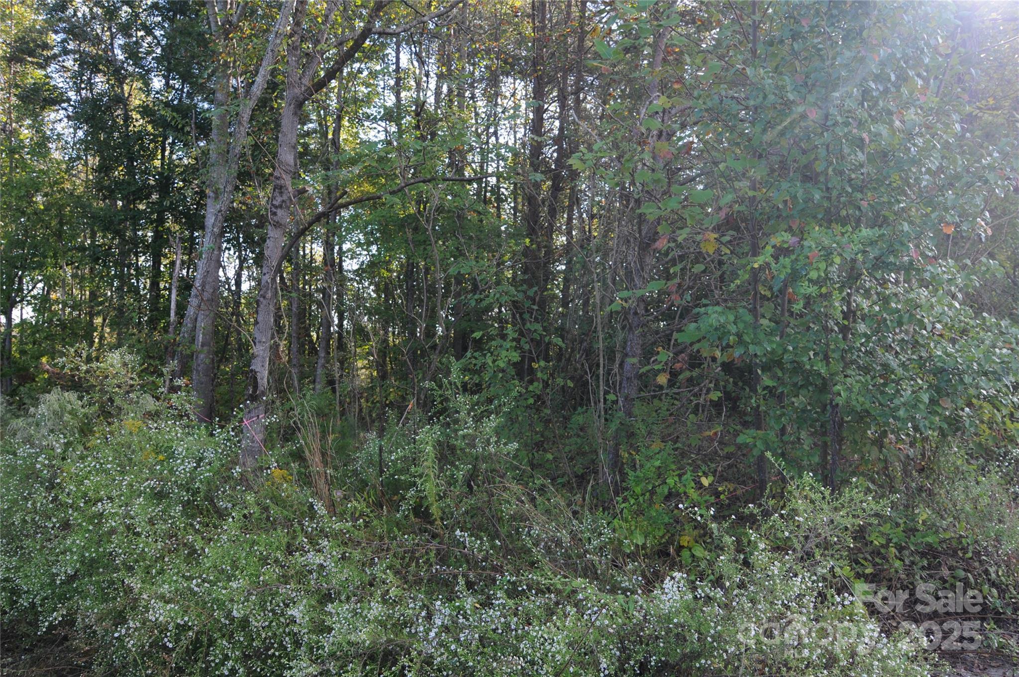 2320 Dobbins Court Vale NC 28168