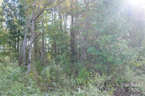 2320 Dobbins Court Vale NC 28168