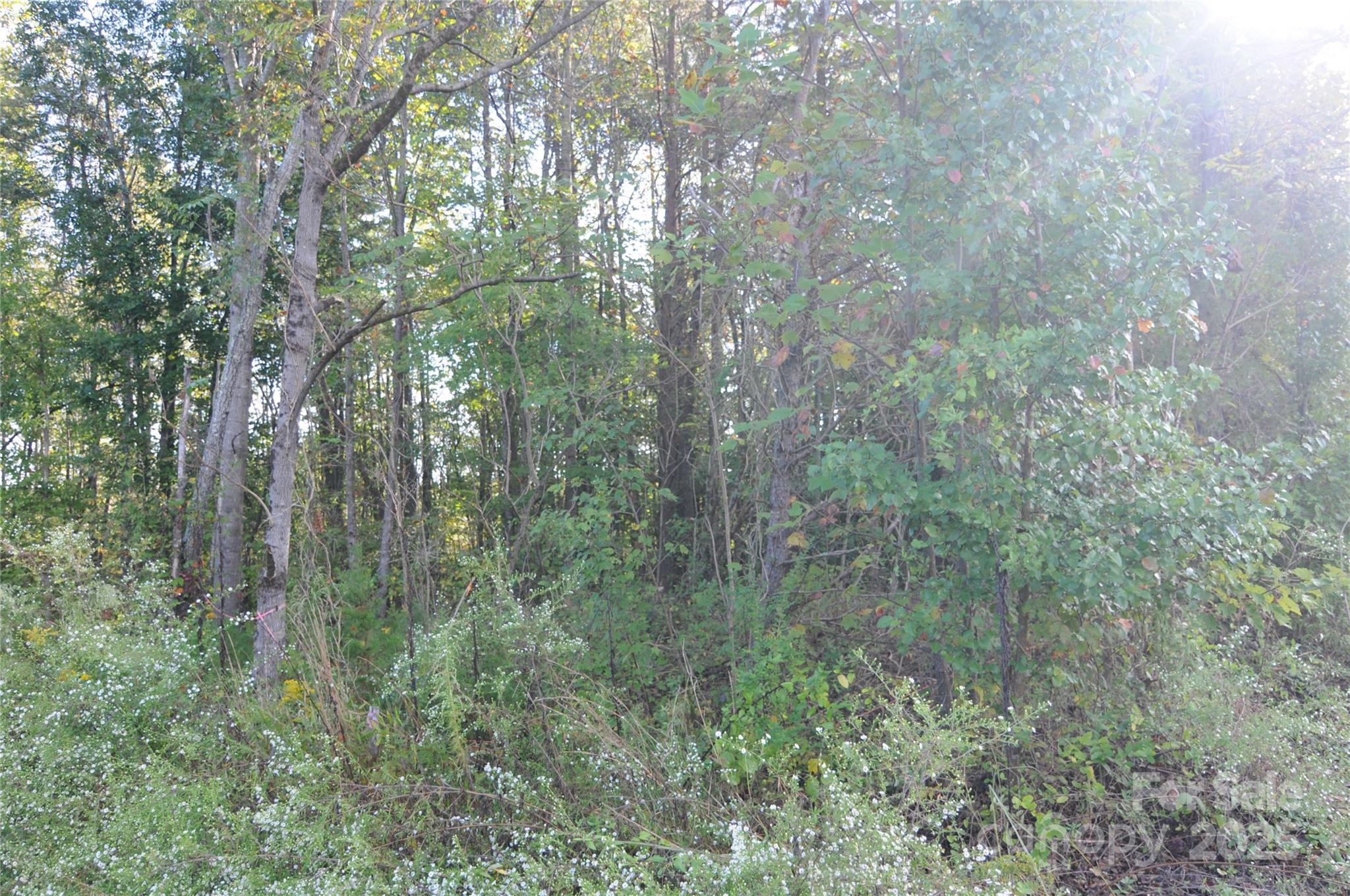 2320 Dobbins Court Vale NC 28168