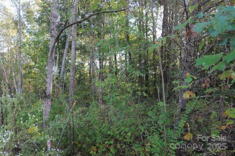 2320 Dobbins Court Vale NC 28168